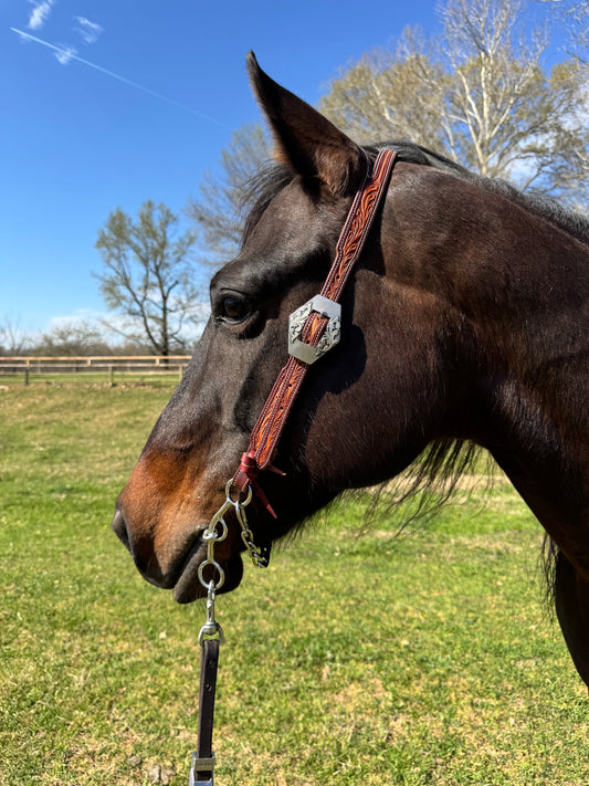 The 6” Open Horse bit