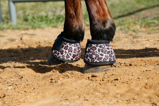 Cheetah Black Boot Bundle