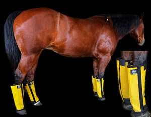 Fly Boots Fly Boots