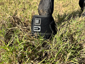 Red Light Therapy Hoof/Knee Wrap Red Light Therapy Hoof/Knee Wrap