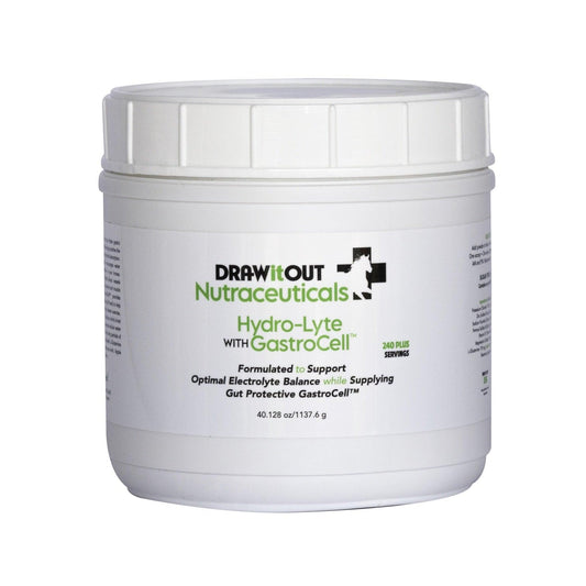 Hydro-Lyte® Electrolyte + Gut Recovery | Draw It Out®