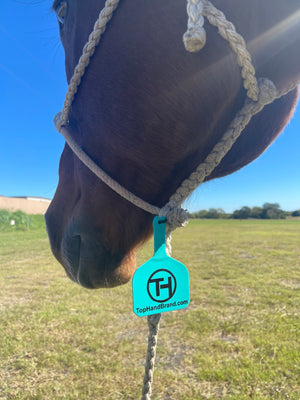Top Hand Tags Top Hand Tags