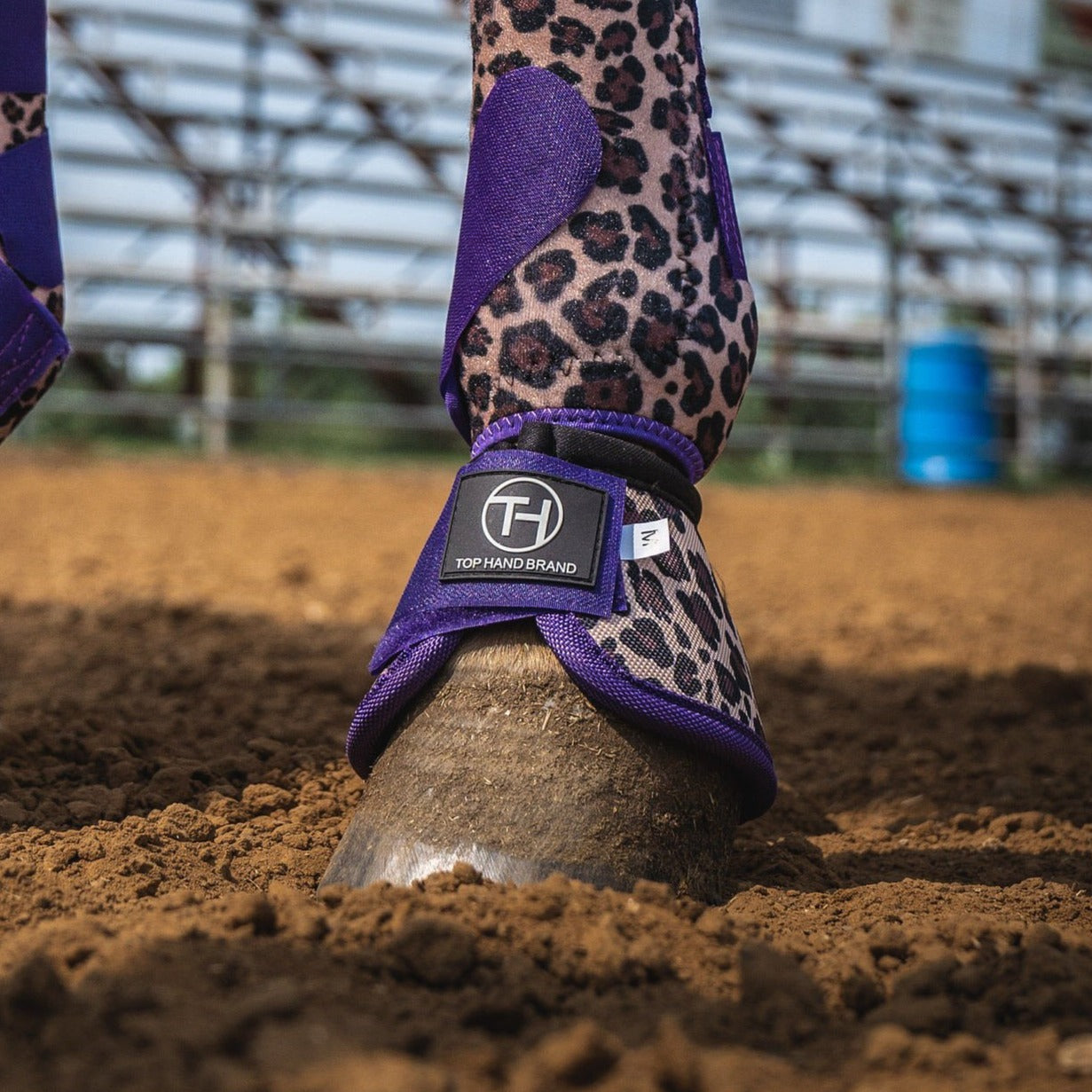 Cheetah Classic Equine Boots Cheetah Splint Boots Cheetah Purple