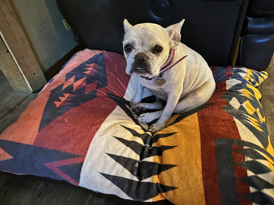 Pendleton Pet Bed