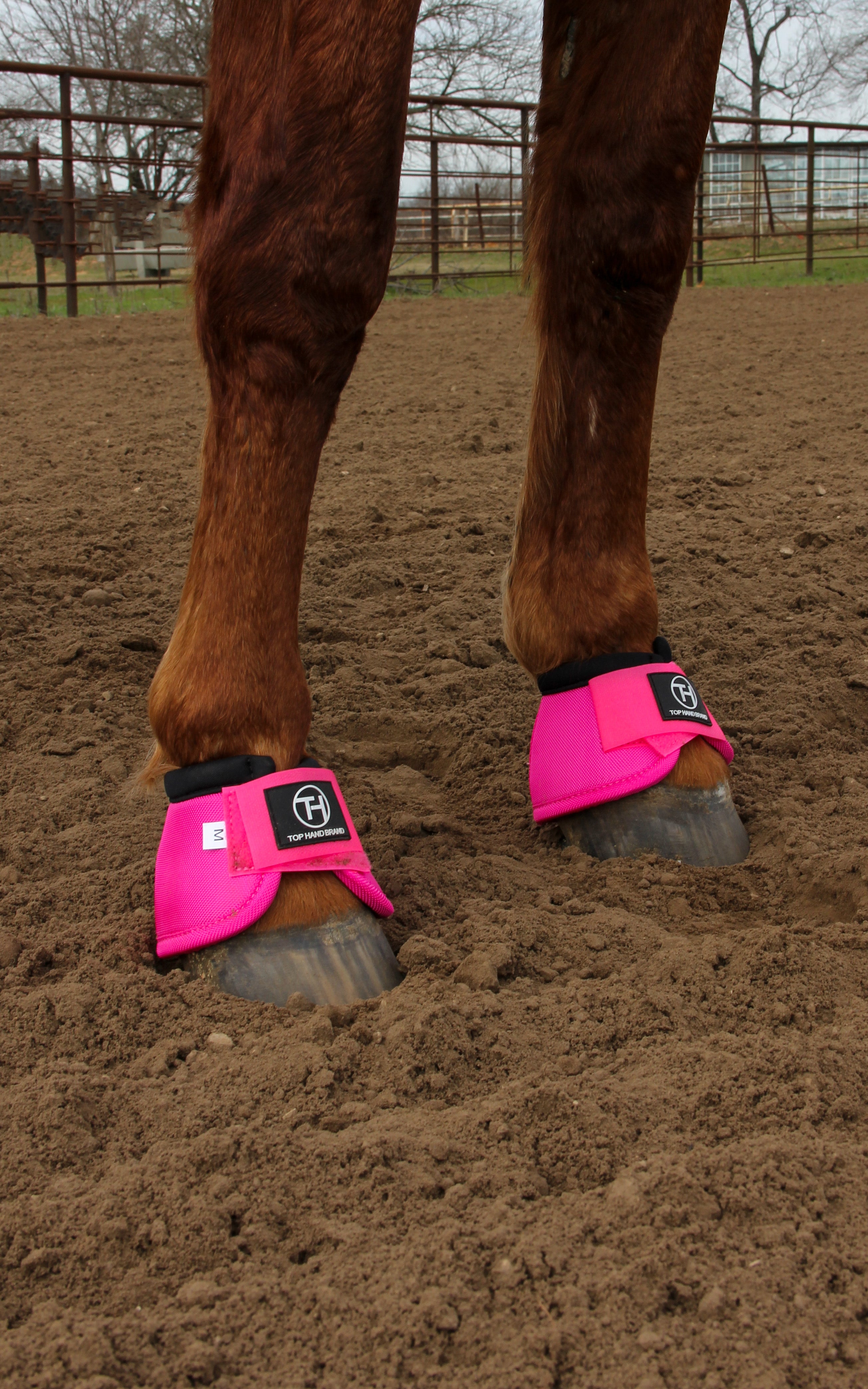 Pink hotsell horse boots