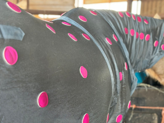 Therapy Bundle w/Fly Mask (Pink)