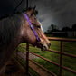 One Ear Nylon Headstall