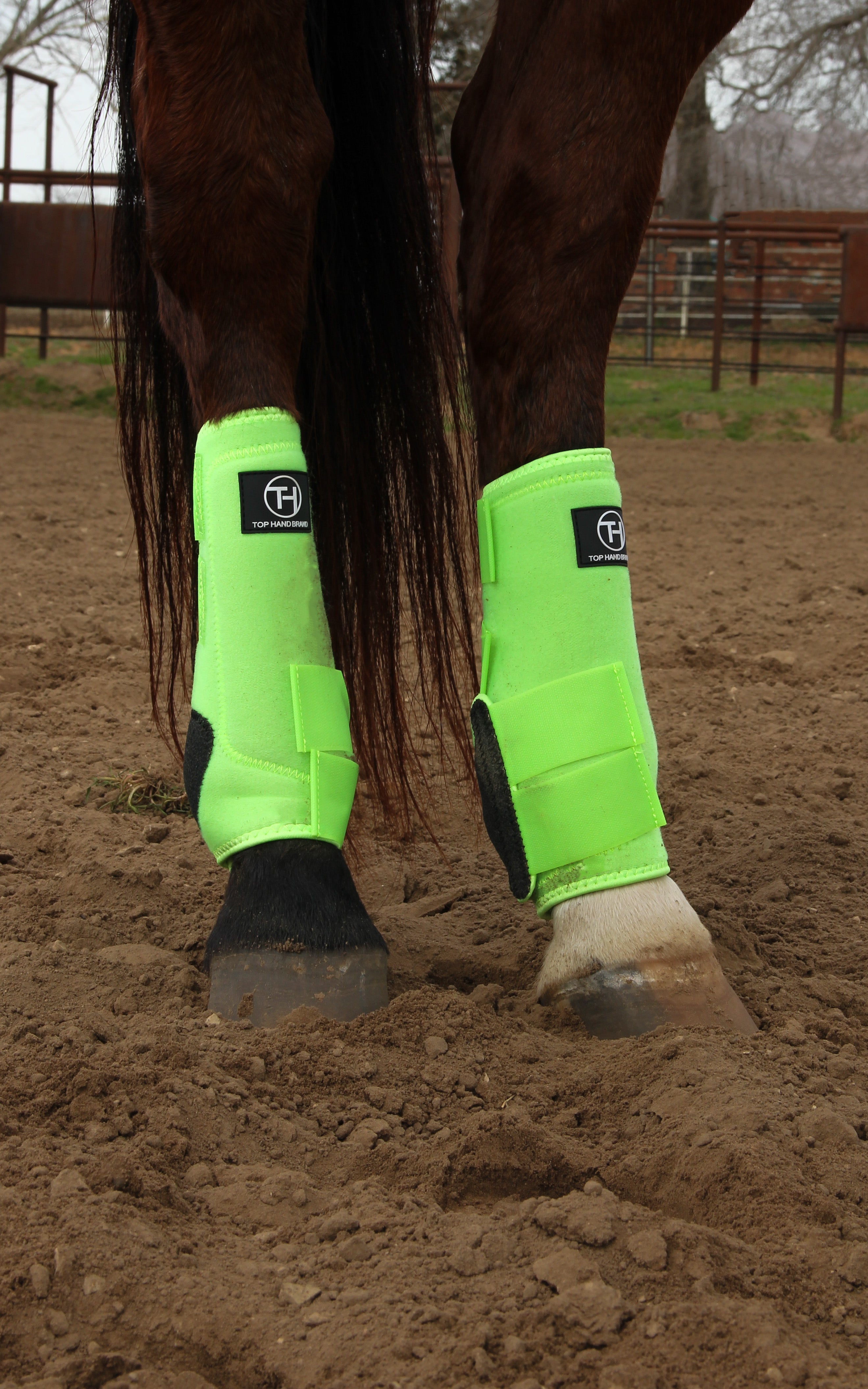 Lime green splint boots hotsell