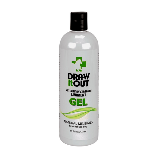 Draw It Out® 16oz High Potency Horse Liniment Gel – Powerful, Natural Relief