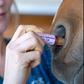 Angel Air – Pre-Run Aromatherapy Roll-On for Focus & Respiratory Support