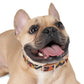 Pendleton Dog Collar