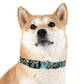 Turquoise Slab Dog Collar
