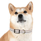 Aztec Earth Dog Collar