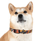 Pendleton Dog Collar