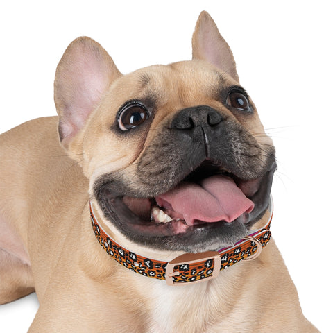 Snow Leopard Serape Dog Collar