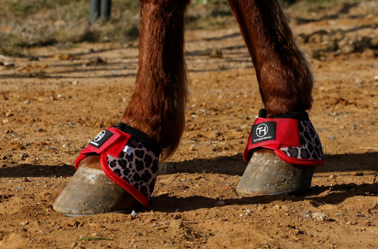 Cheetah and Red bell boots