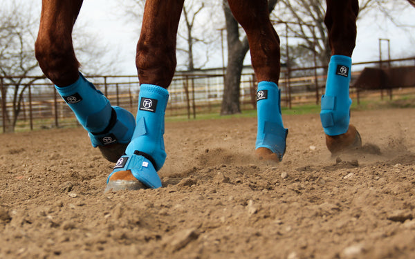 Turquoise on sale splint boots