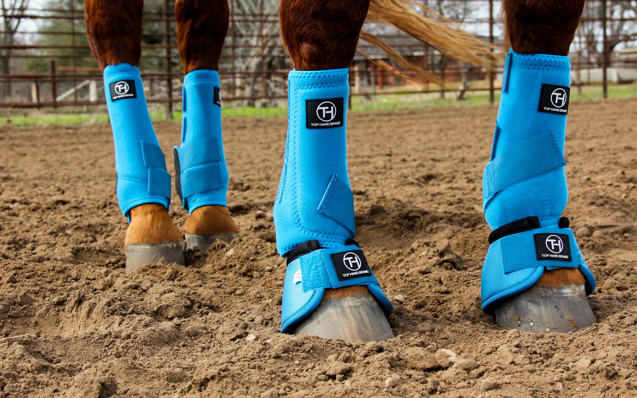 Turquoise on sale horse boots