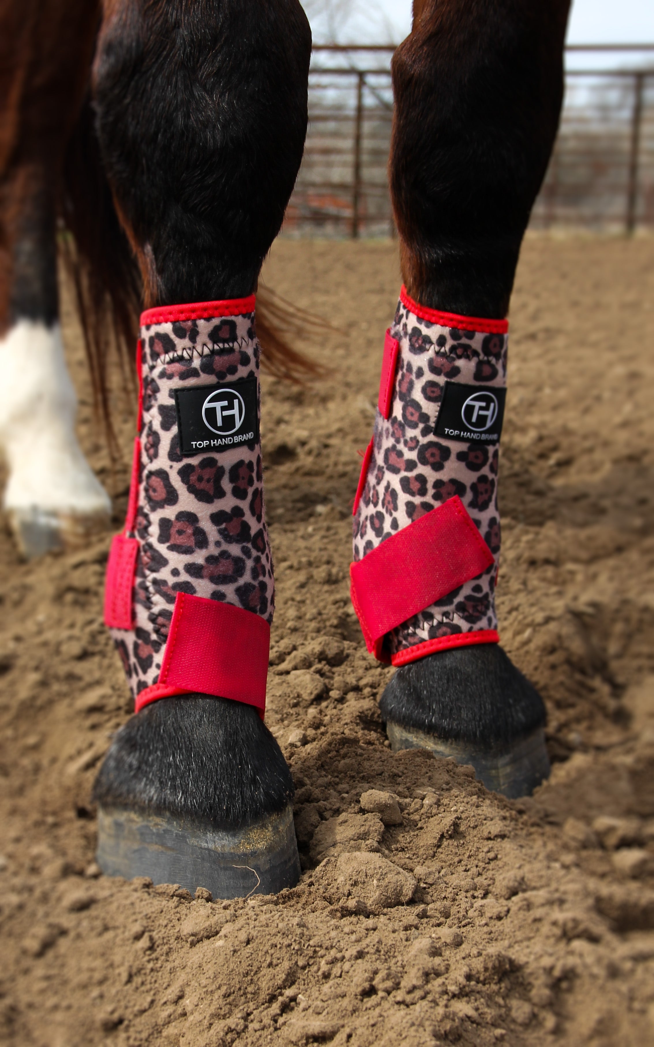 Cheetah splint boots best sale