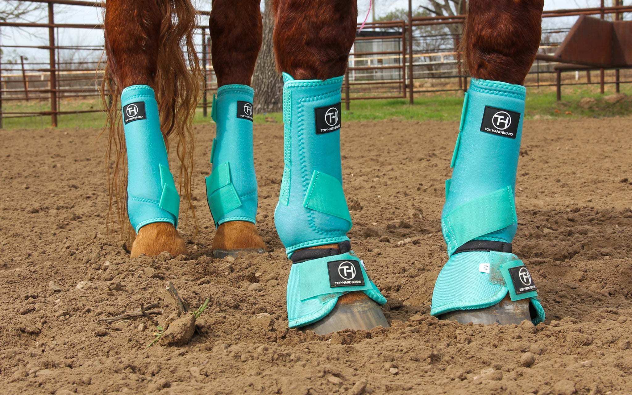 Equine sport outlet boots