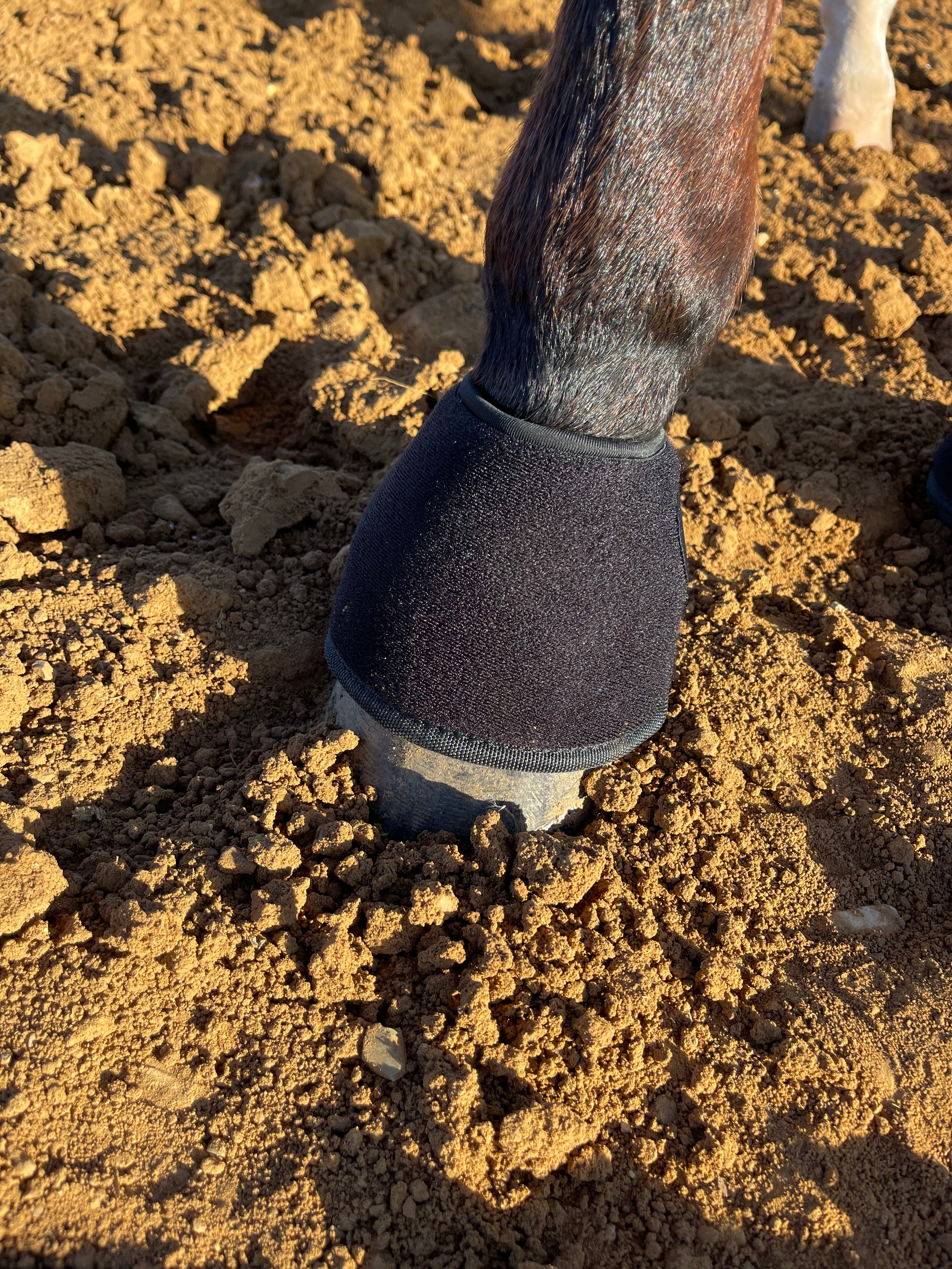 Magnetic 2025 bell boots