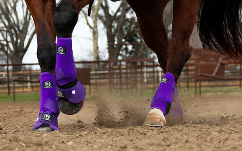 Solid Purple Sport Boots