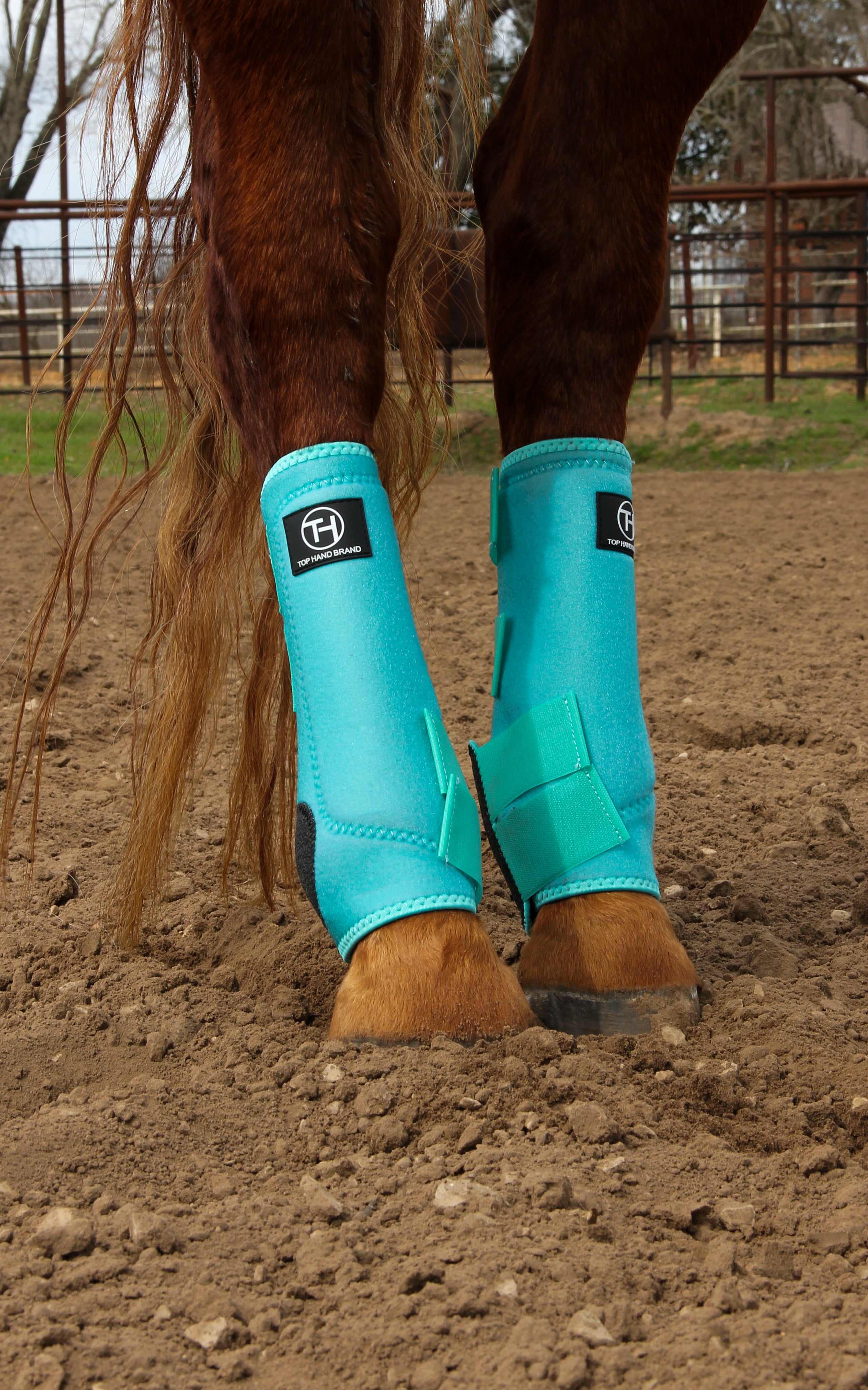 Mint hotsell horse boots